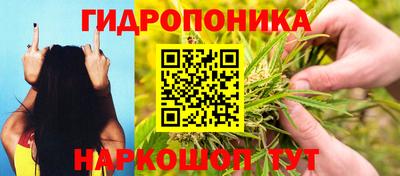 шишки Можайск