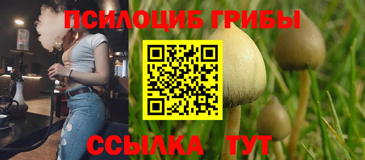 Псилоцибиновые грибы Magic Shrooms  Псилоцибиновые грибы мицелий  Вольск 