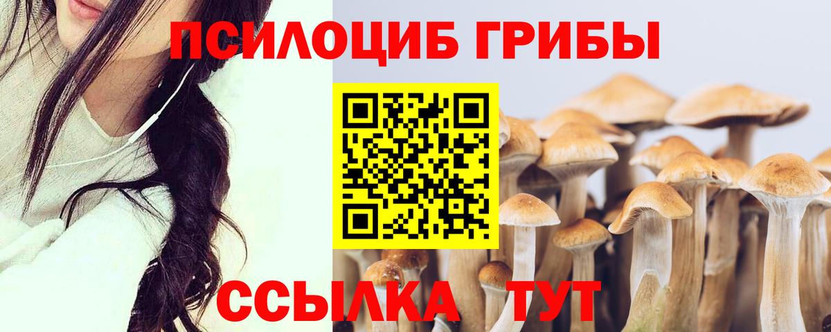Галлюциногенные грибы Magic Shrooms Вольск